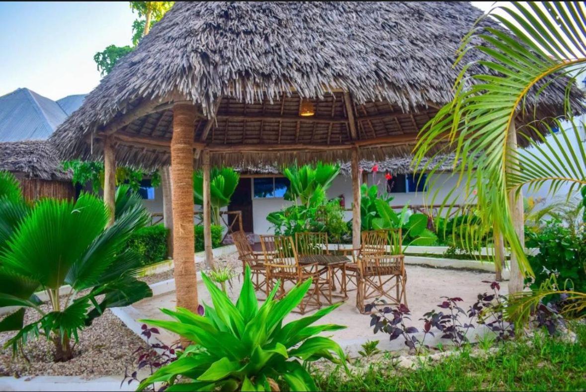 Tolo Tolo Resort Nungwi Exteriér fotografie